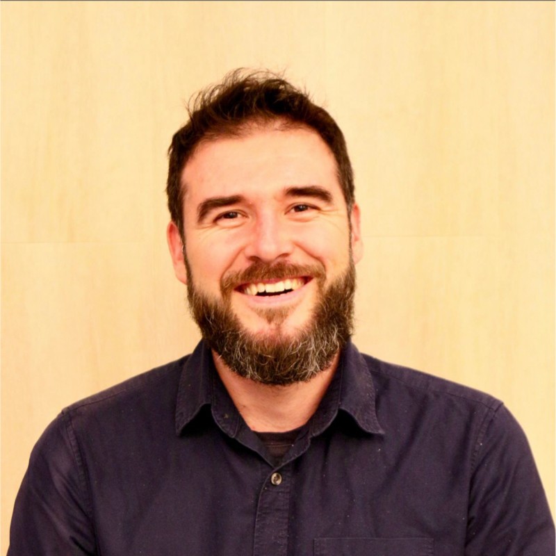 Mircea Vădan